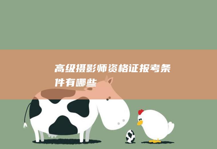 高级摄影师资格证报考条件有哪些
