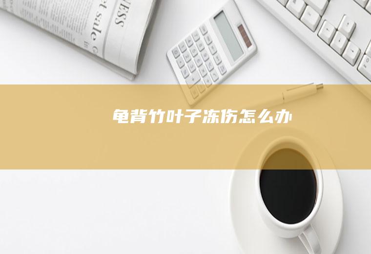 龟背竹叶子冻伤怎么办