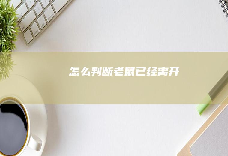 怎么判断老鼠已经离开
