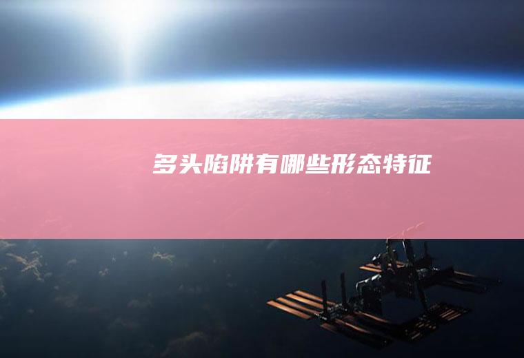 多头陷阱有哪些形态特征