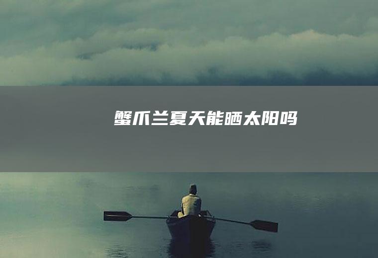 蟹爪兰夏天能晒太阳吗