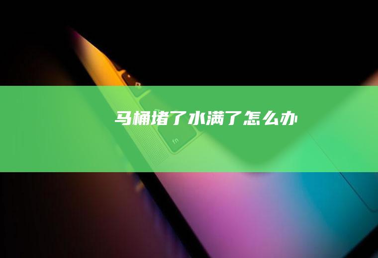 马桶堵了水满了怎么办