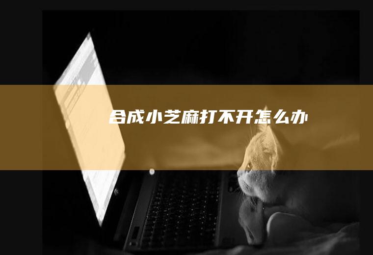 合成小芝麻打不开怎么办