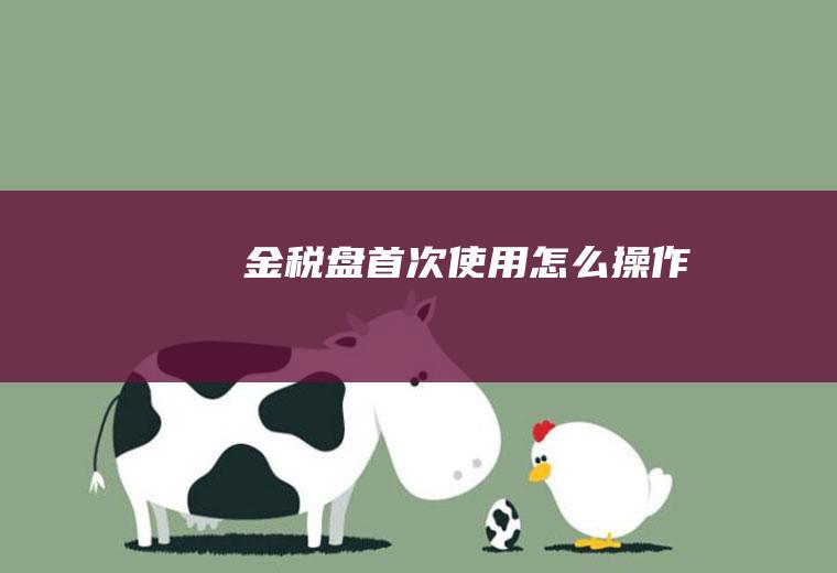 金税盘首次使用怎么操作