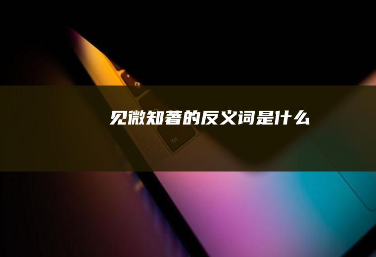 见微知著的反义词是什么