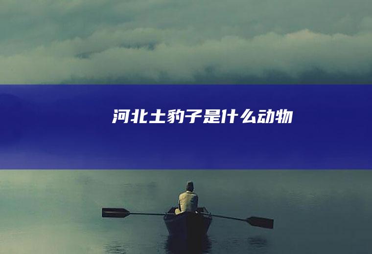 河北土豹子是什么动物