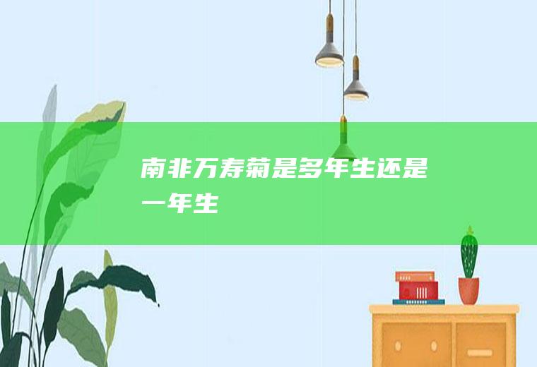南非万寿菊是多年生还是一年生