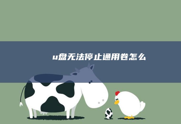 u盘无法停止通用卷怎么办