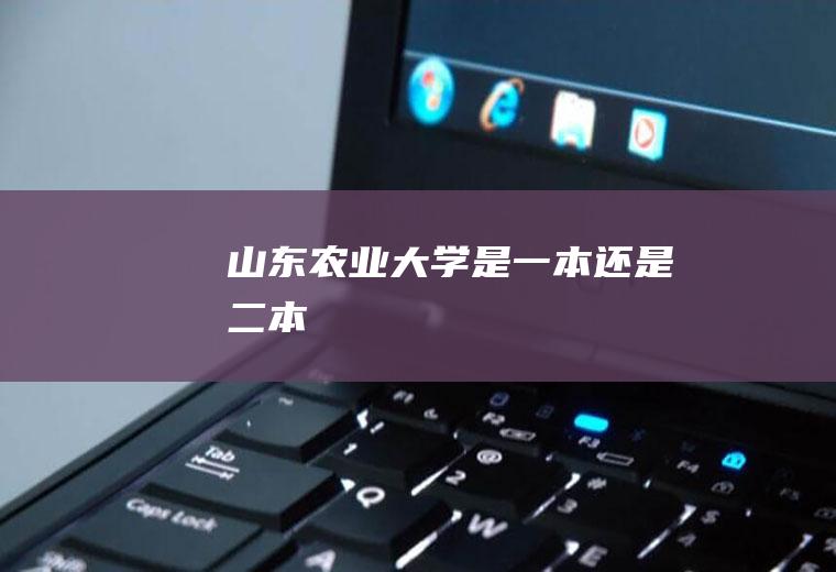 山东农业大学是一本还是二本