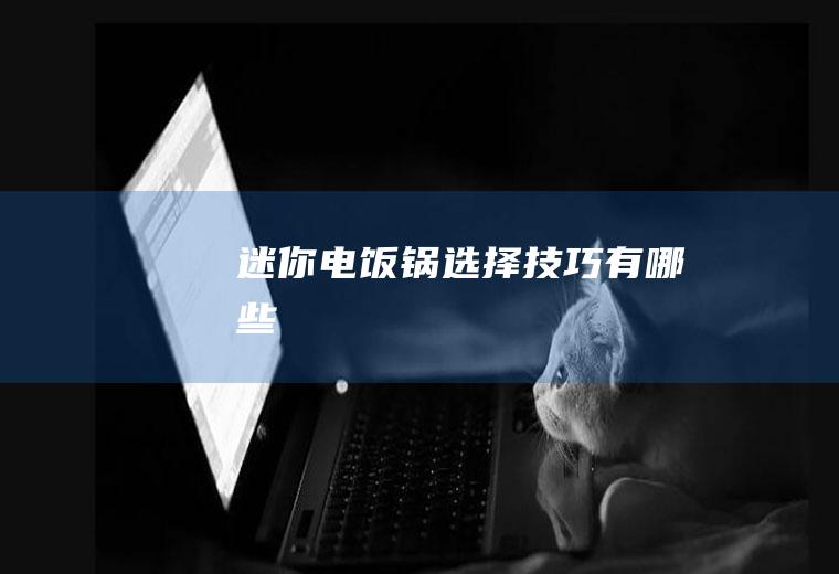 迷你电饭锅选择技巧有哪些