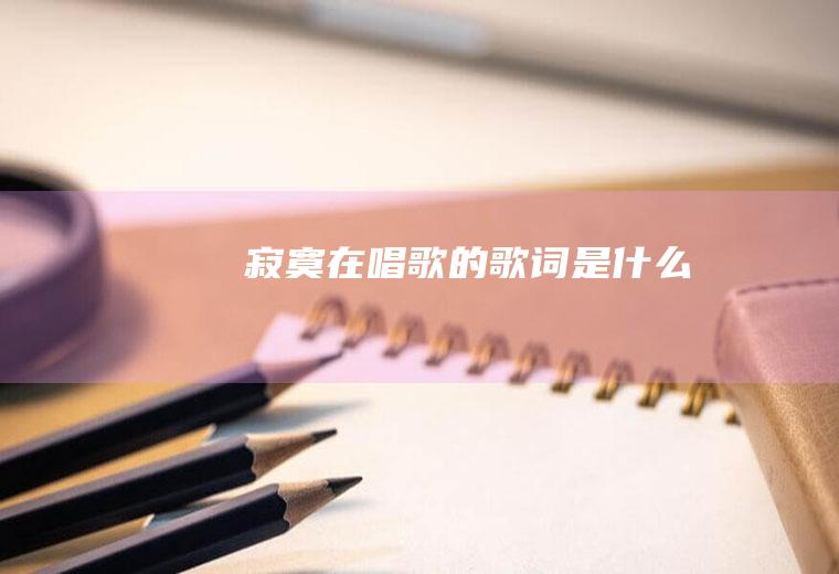 《寂寞在唱歌》的歌词是什么