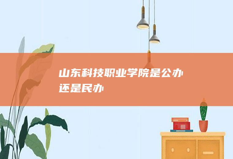 山东科技职业学院是公办还是民办