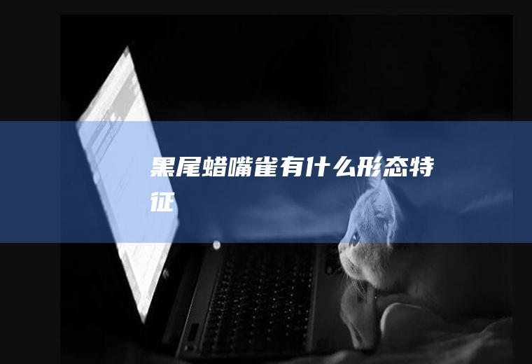 黑尾蜡嘴雀有什么形态特征