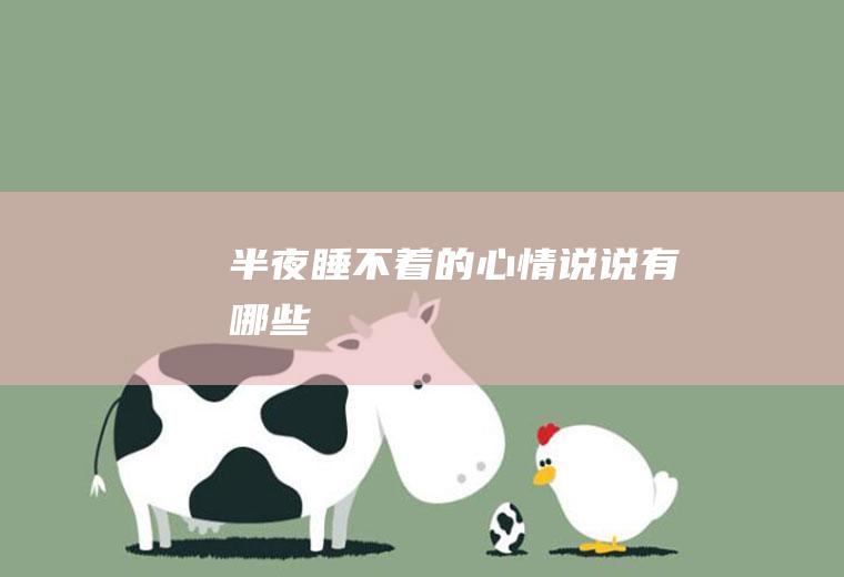 半夜睡不着的心情说说有哪些