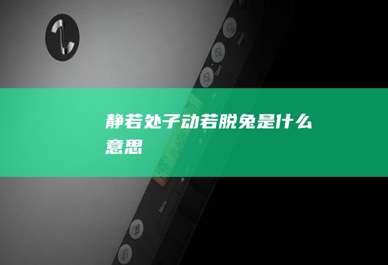 静若处子动若脱兔是什么意思