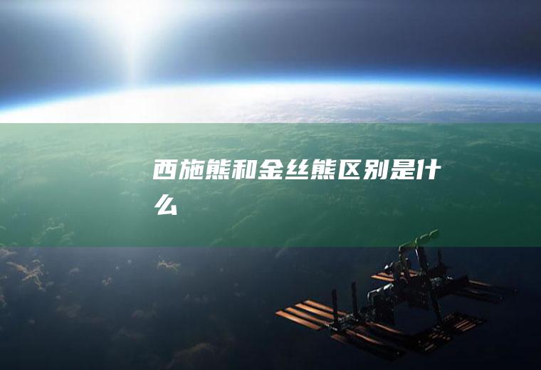 西施熊和金丝熊区别是什么