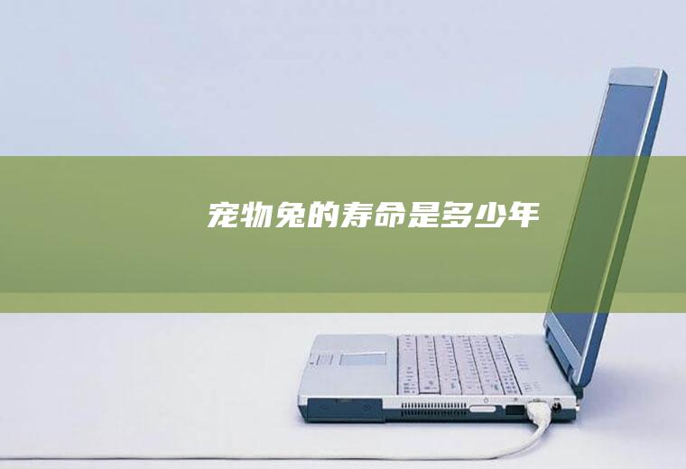 宠物兔的寿命是多少年