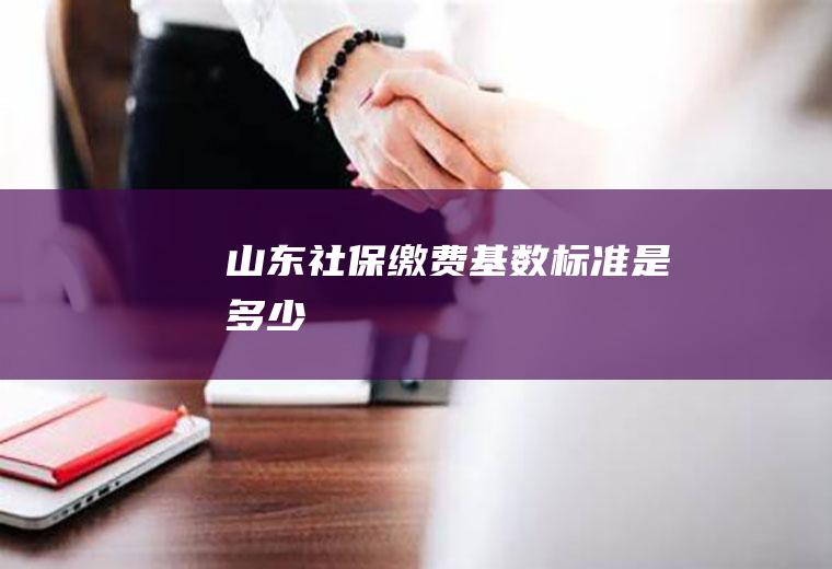 山东社保缴费基数标准是多少