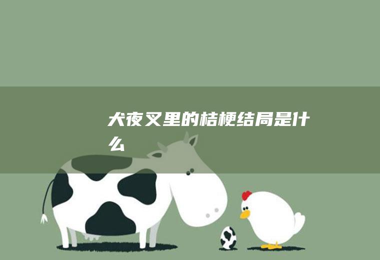 《犬夜叉》里的桔梗结局是什么
