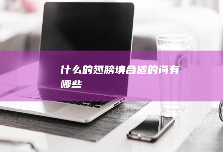 什么的翅膀填合适的词有哪些