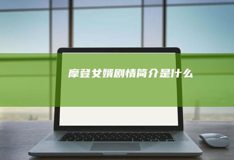 《摩登女婿》剧情简介是什么