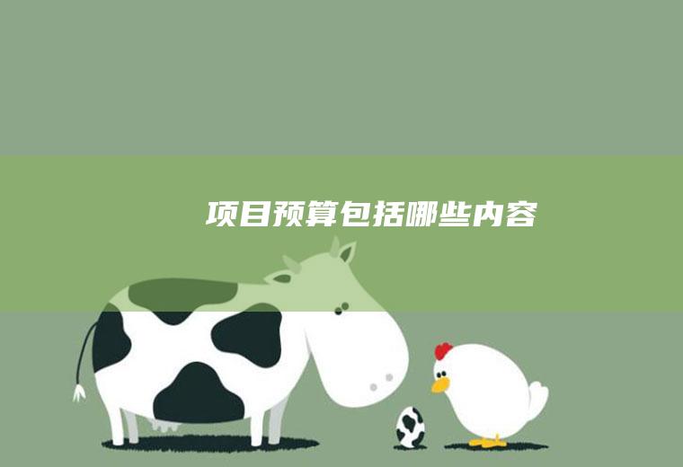 项目预算包括哪些内容