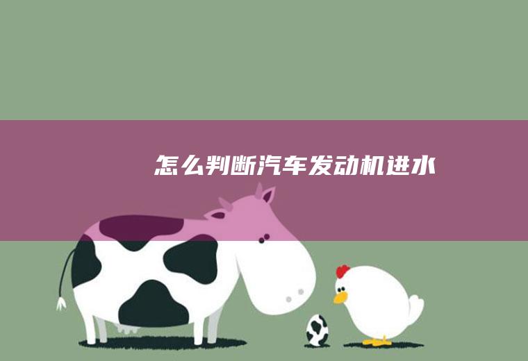 怎么判断发动机进水