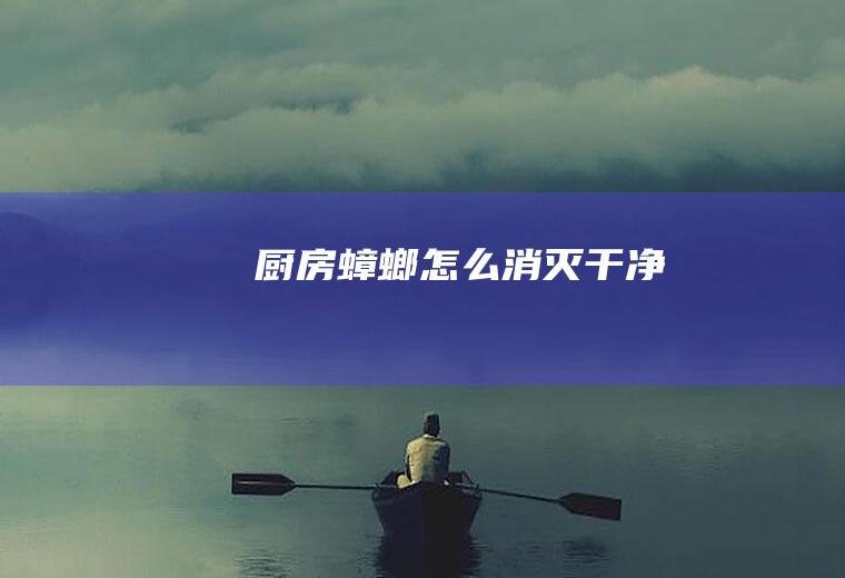 厨房蟑螂怎么消灭干净