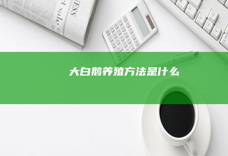 大白鹅养殖方法是什么