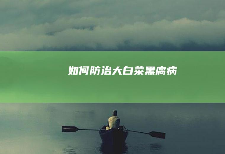 如何防治大白菜黑腐病