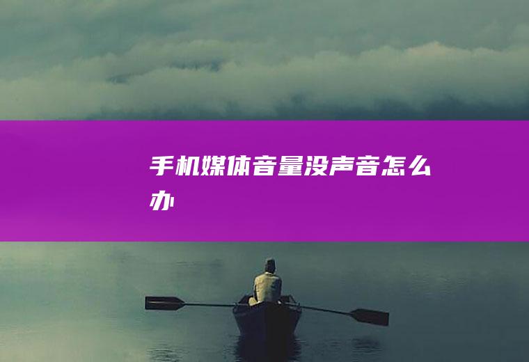 手机媒体音量没声音怎么办