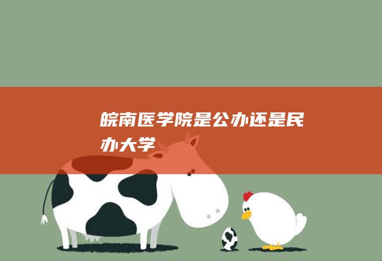 皖南医学院是公办还是民办大学