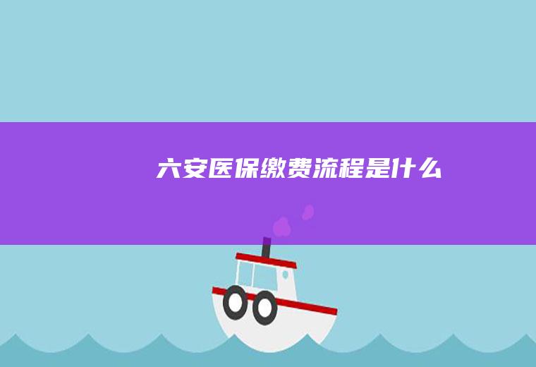 六安医保缴费流程是什么