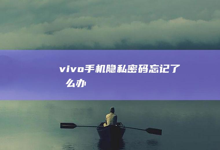 vivo手机隐私密码忘记了怎么办
