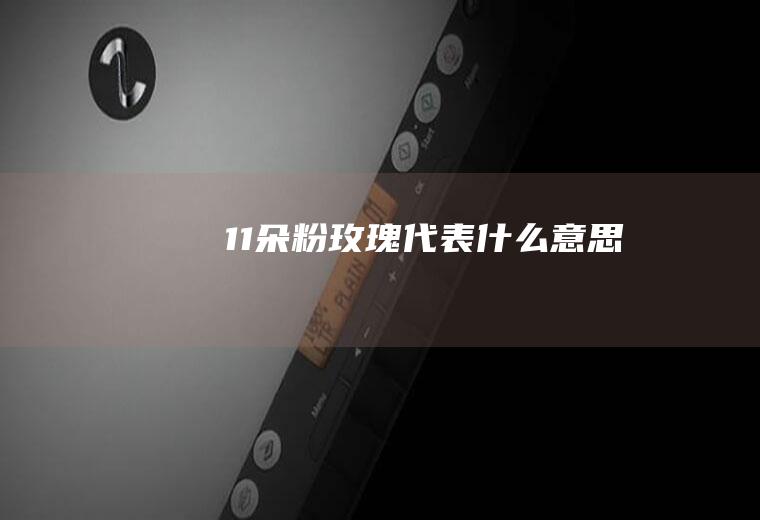 11朵粉玫瑰代表什么意思
