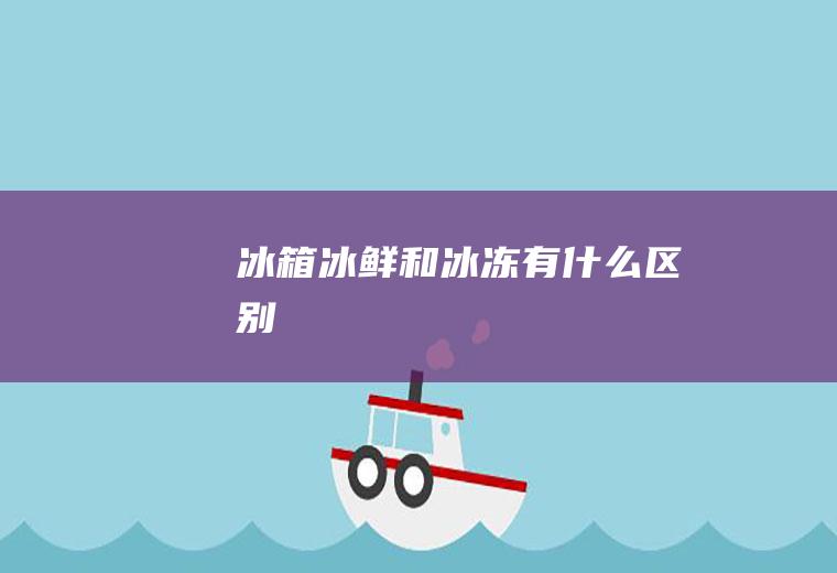 冰箱冰鲜和冰冻有什么区别