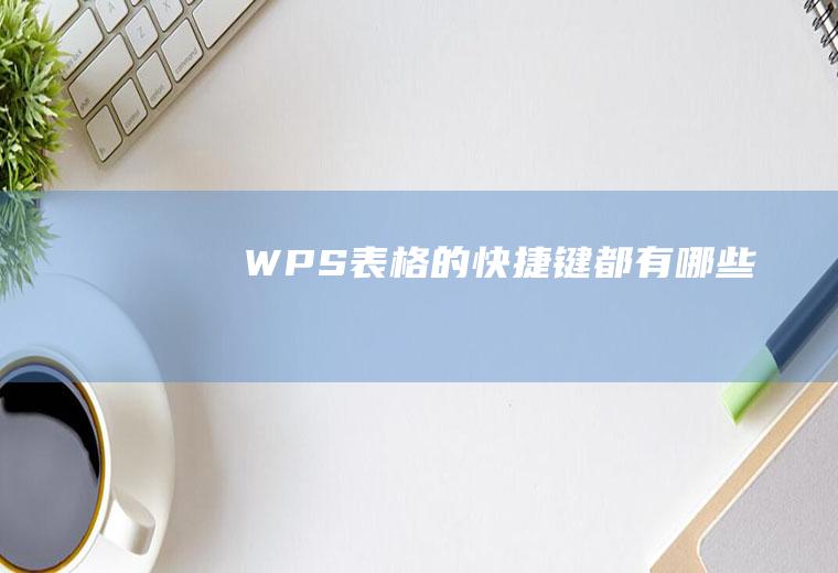 WPS表格的快捷键都有哪些