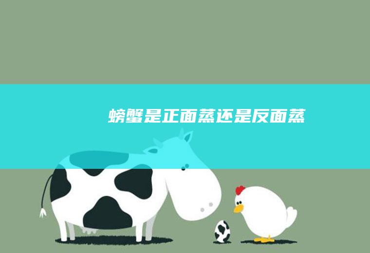 螃蟹是正面蒸还是反面蒸