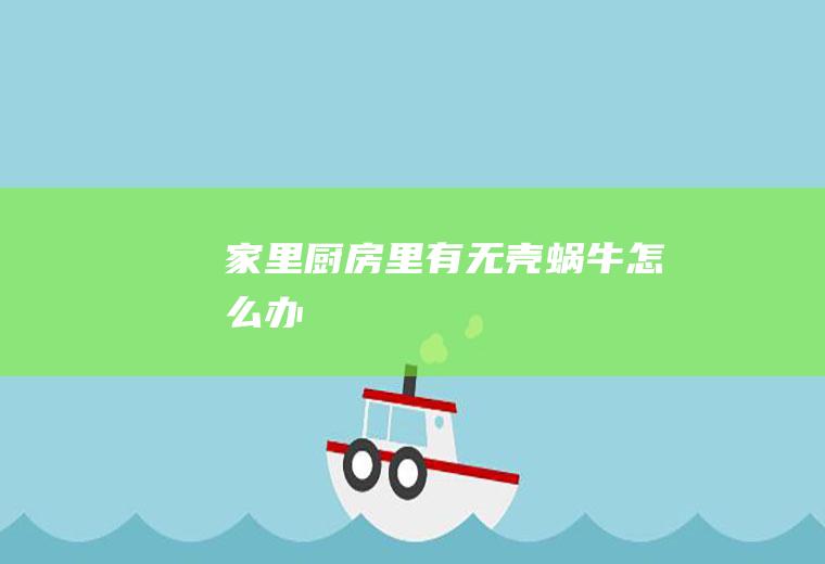 家里厨房里有无壳蜗牛怎么办