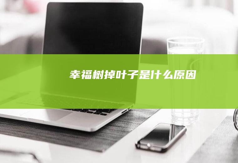 幸福树掉叶子是什么原因