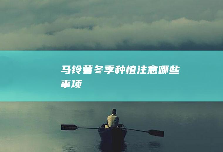 马铃薯冬季种植注意哪些事项