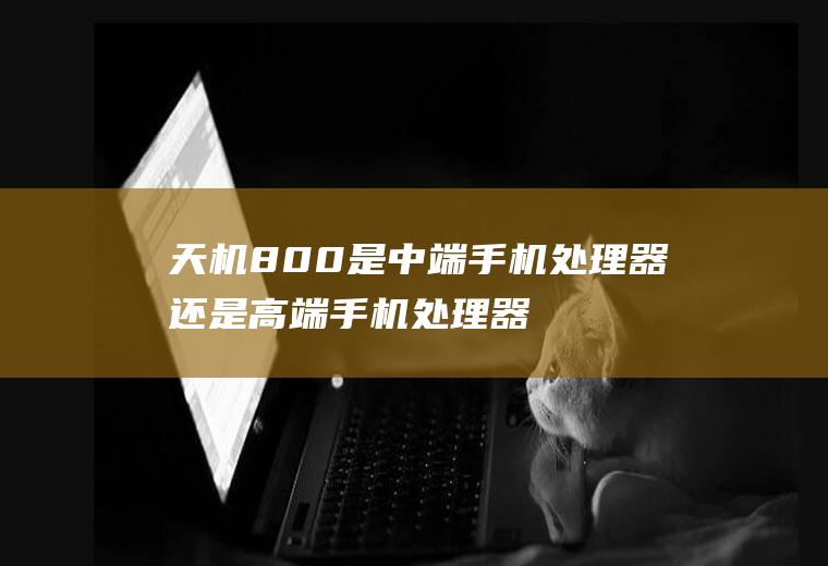天机800是中端手机处理器还是高端手机处理器