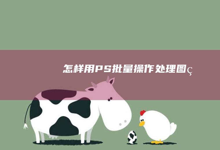 怎样用PS批量操作处理图片
