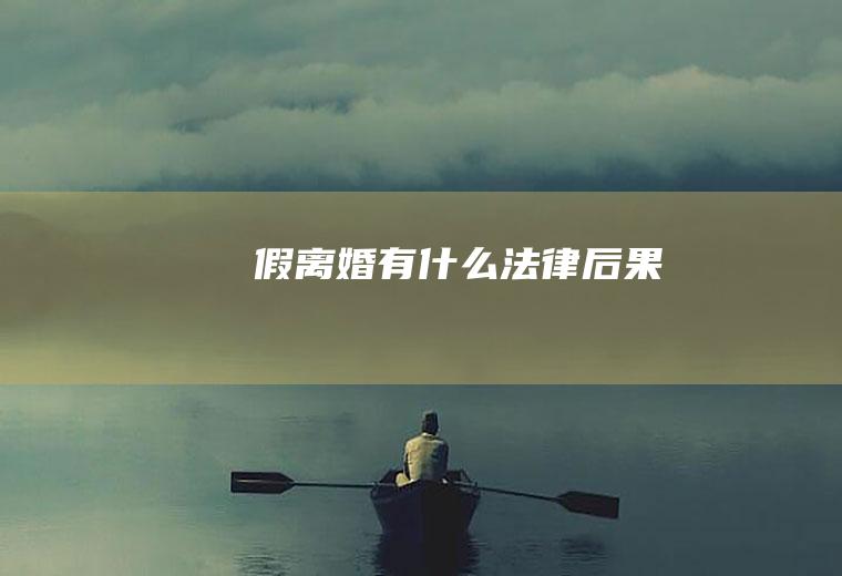 假离婚有什么法律后果