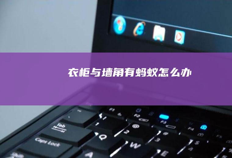 衣柜与墙角有蚂蚁怎么办