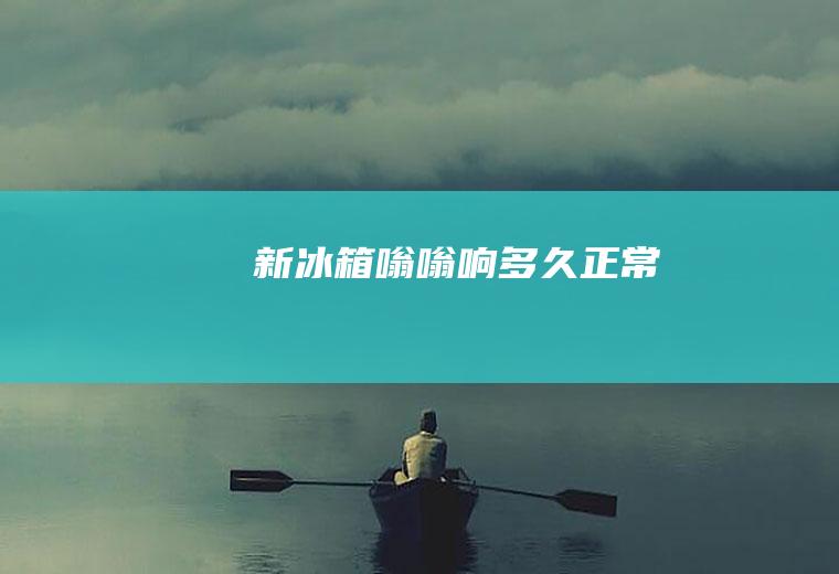 新冰箱嗡嗡响多久正常