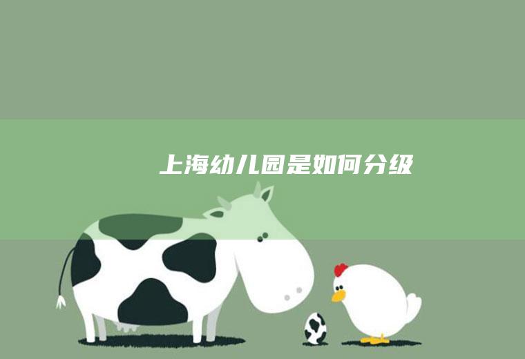 上海幼儿园是如何分级