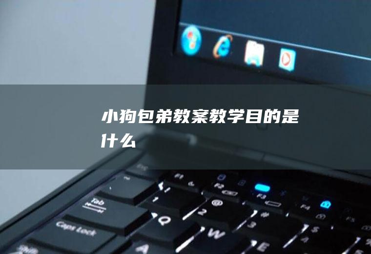 《小狗包弟》教案教学目的是什么