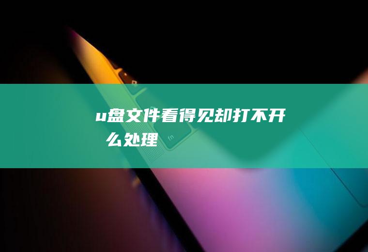 u盘文件看得见却打不开怎么处理