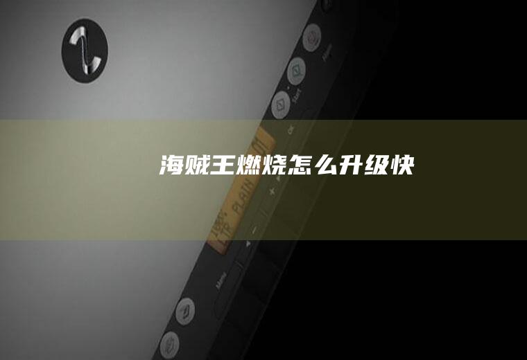 海贼王燃烧怎么升级快